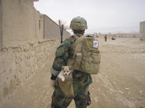 Soldier rescues