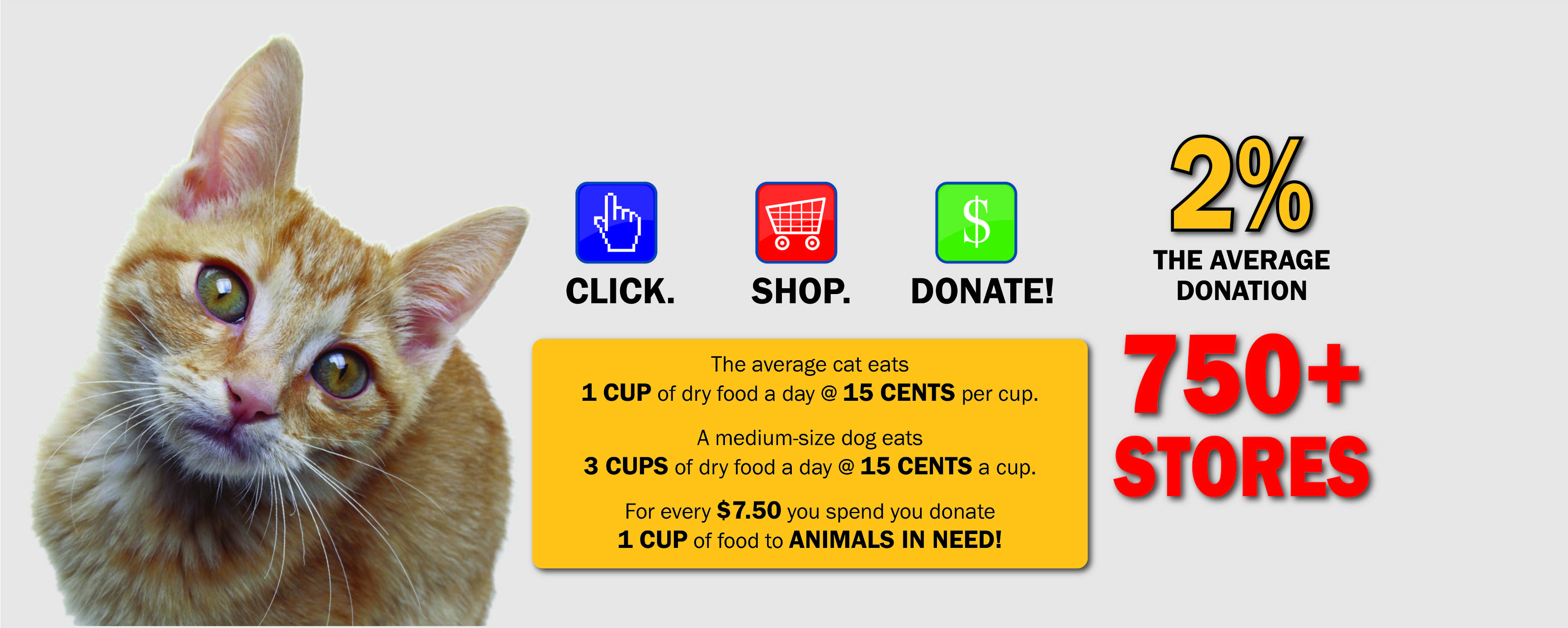 1206_Adopt-a-Shelter-Web-Site-06
